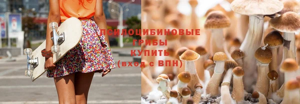 а пвп мука Верея