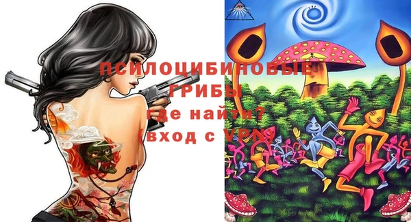 прущие грибы Верхнеуральск