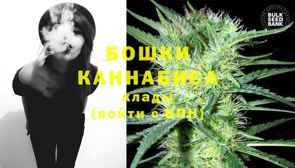прущие грибы Верхнеуральск