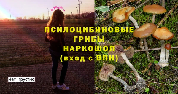 прущие грибы Верхнеуральск