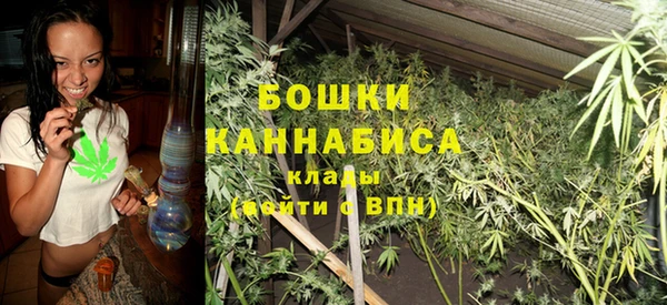 прущие грибы Верхнеуральск