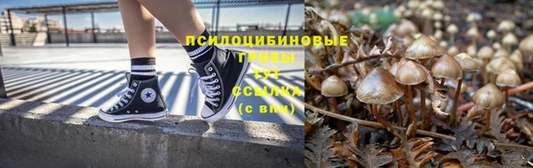 а пвп мука Верея