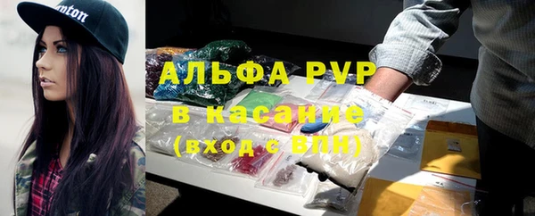 прущие грибы Верхнеуральск