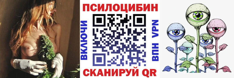 Псилоцибиновые грибы мицелий Улан-Удэ