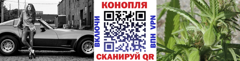 где купить наркоту  Улан-Удэ  Каннабис тримм 